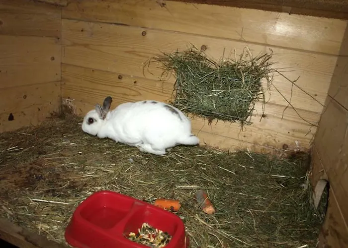 Xanderhof ロイタシュ