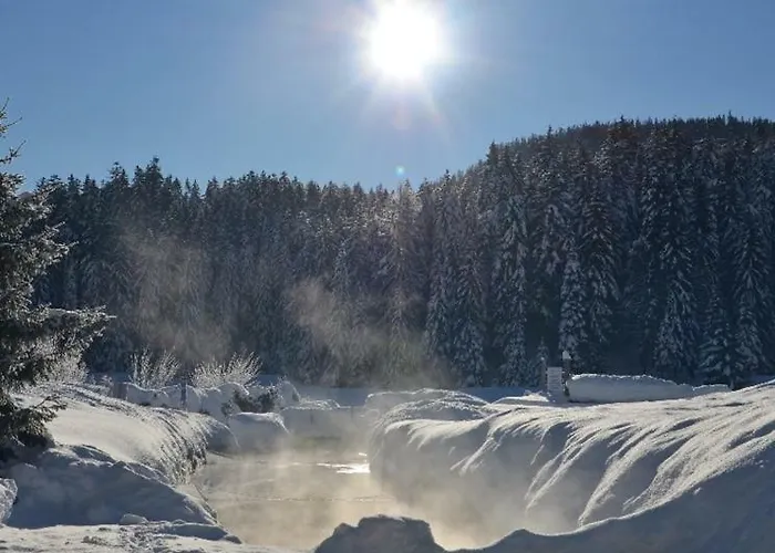 Xanderhof ロイタシュ