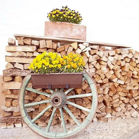 Farmház Xanderhof Leutasch