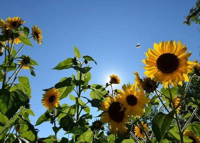 Xanderhof Çiftlik konaklama