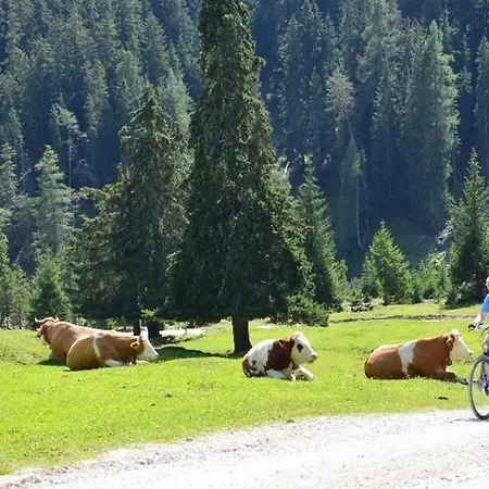 Xanderhof ליוטאש