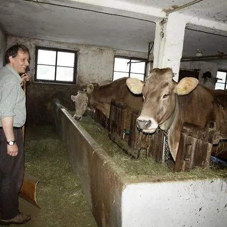 Xanderhof Farm stay