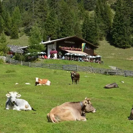 Xanderhof Farm stay *
