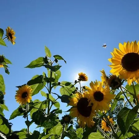 Xanderhof בית חווה