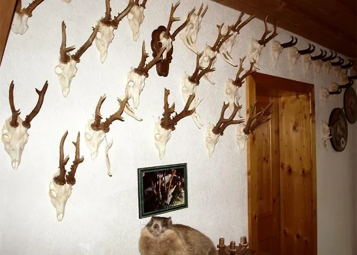 Xanderhof * 로이타쉬