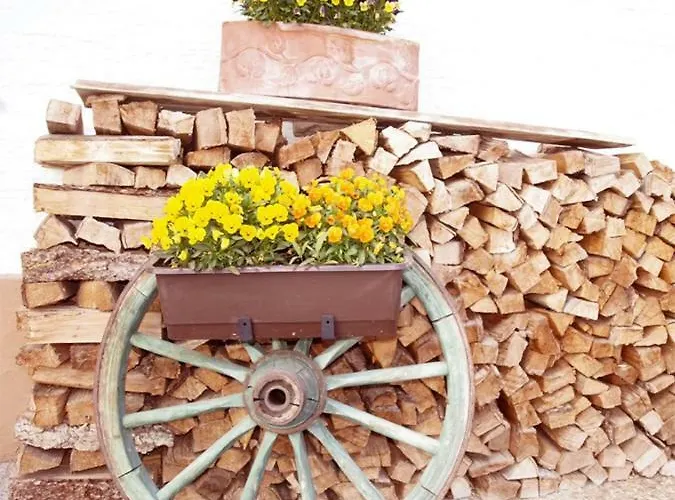 팜스테이 Xanderhof 로이타쉬